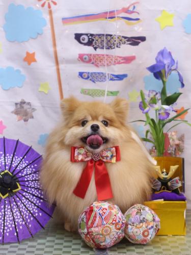 20240512梛都ちゃん